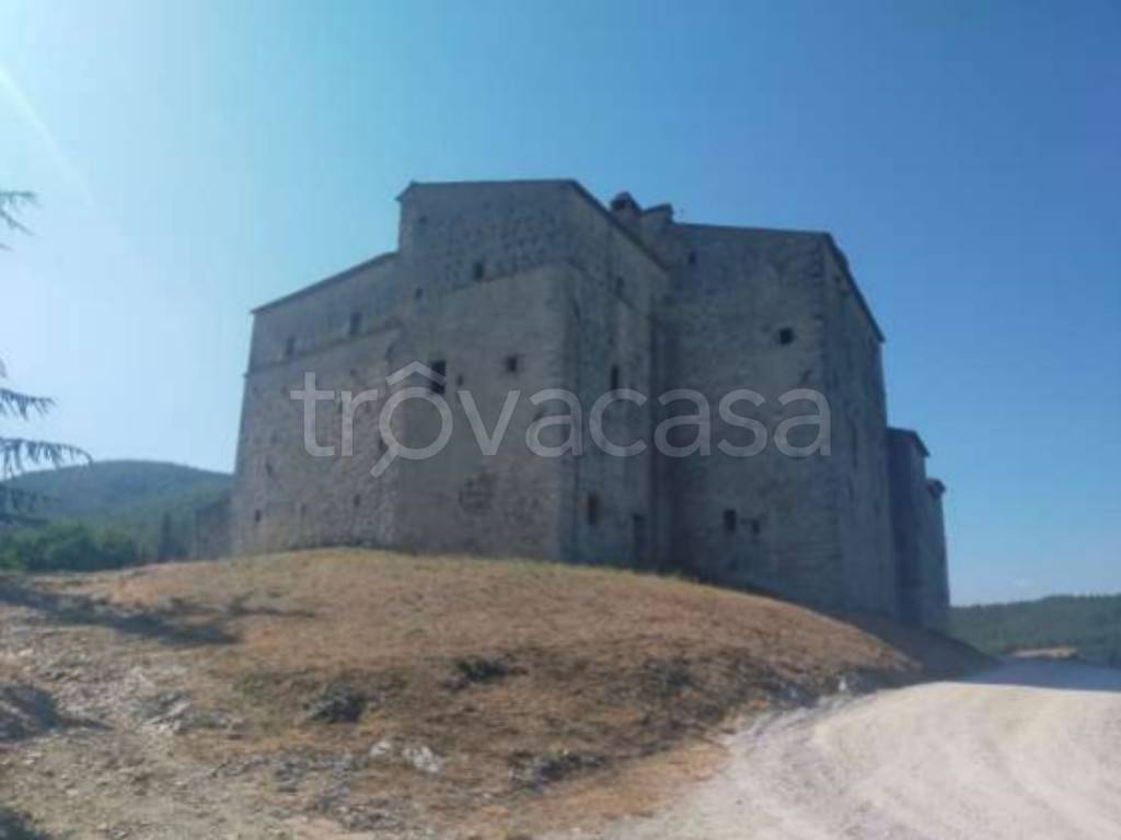 immagine annuncio 4 di 14
