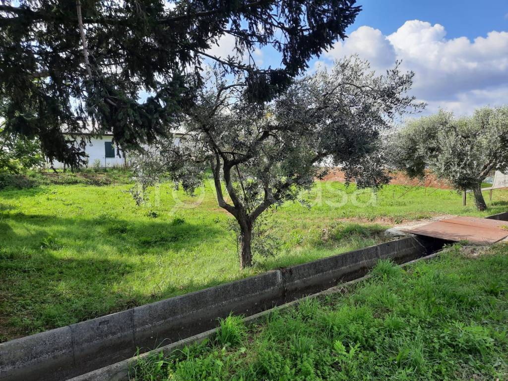 immagine annuncio 6 di 9