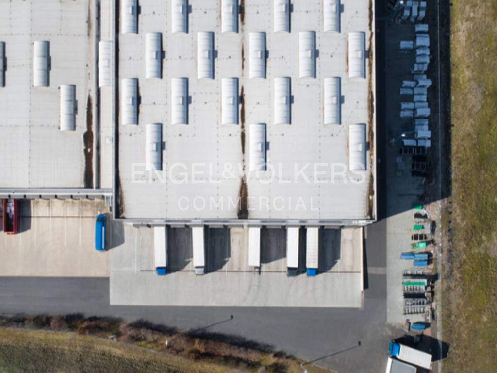 immagine annuncio 5 di 12