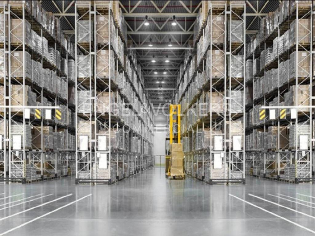 immagine annuncio 6 di 12