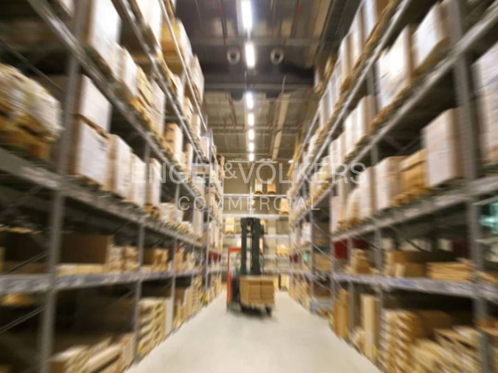 immagine annuncio 9 di 12