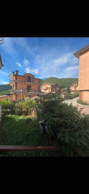 immagine annuncio 2 di 12
