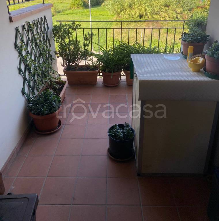 immagine annuncio 11 di 14