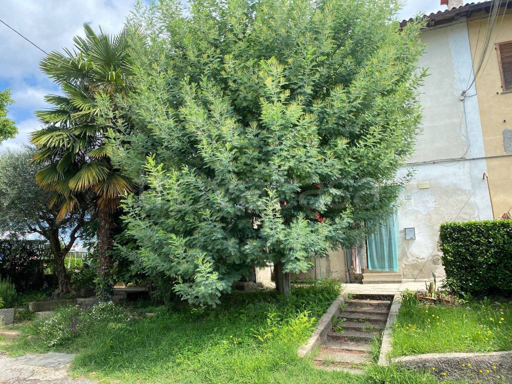 immagine annuncio 5 di 6