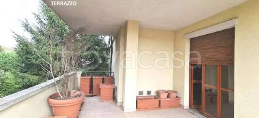 immagine annuncio 5 di 8