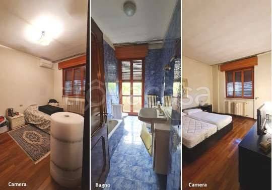 immagine annuncio 2 di 6