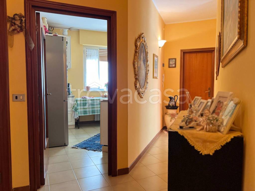 immagine annuncio 5 di 14