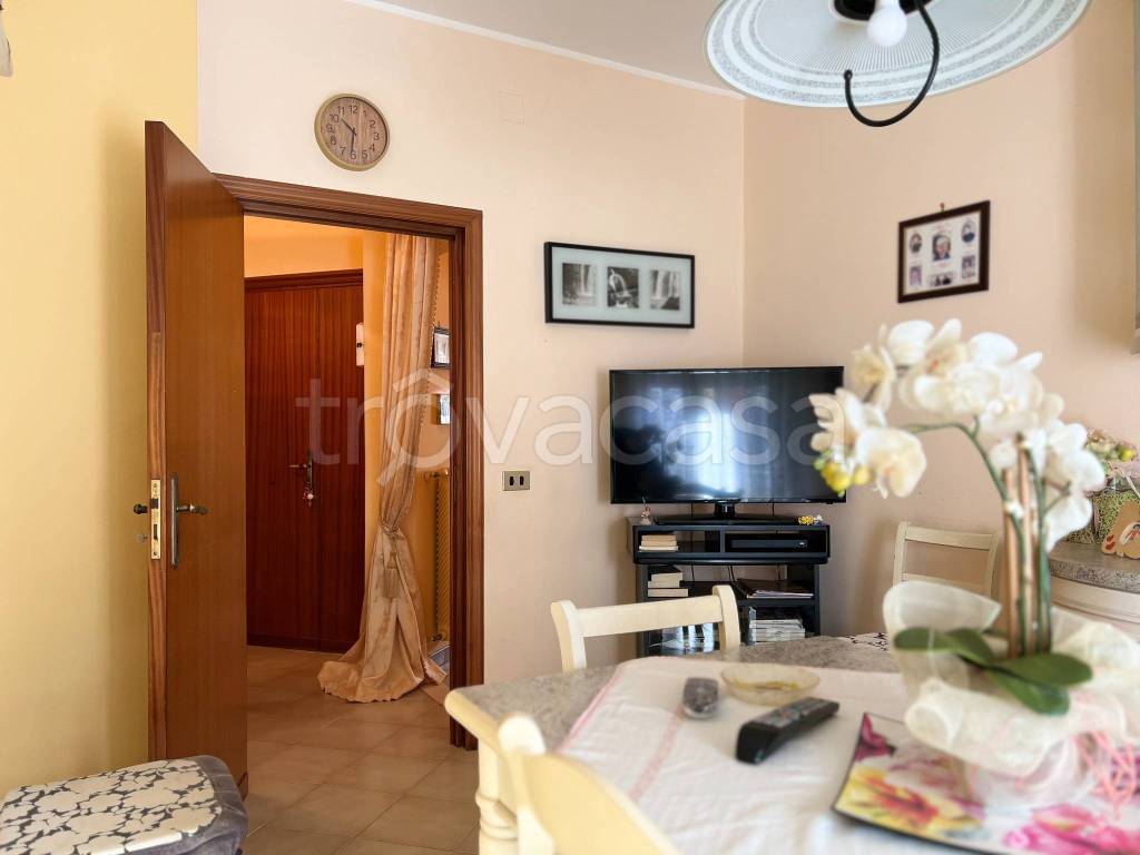 immagine annuncio 3 di 14