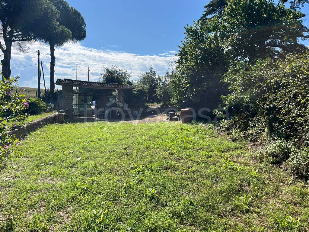 immagine annuncio 9 di 14