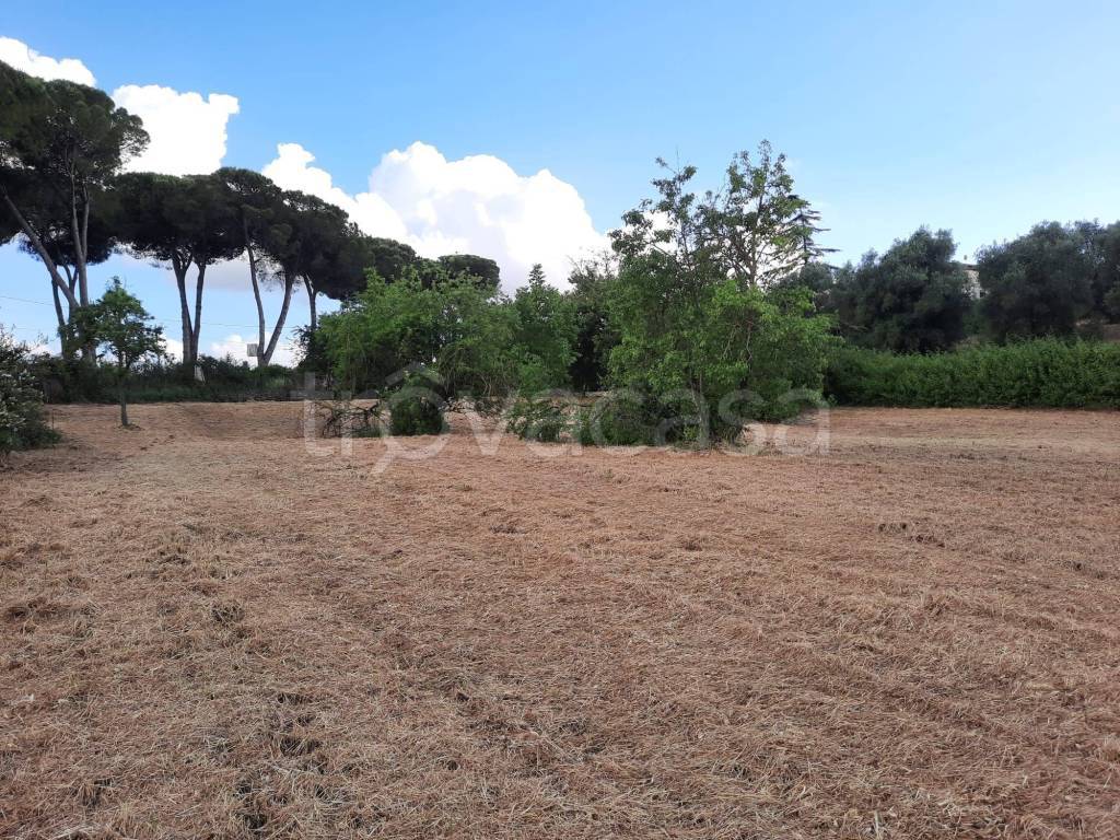 immagine annuncio 11 di 14
