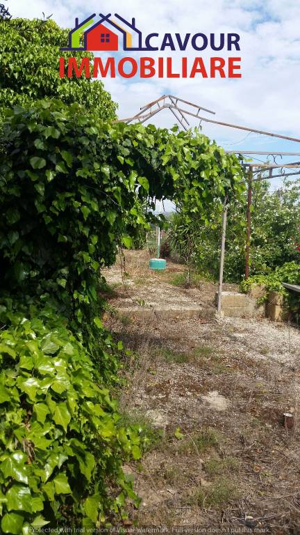 immagine annuncio 7 di 9