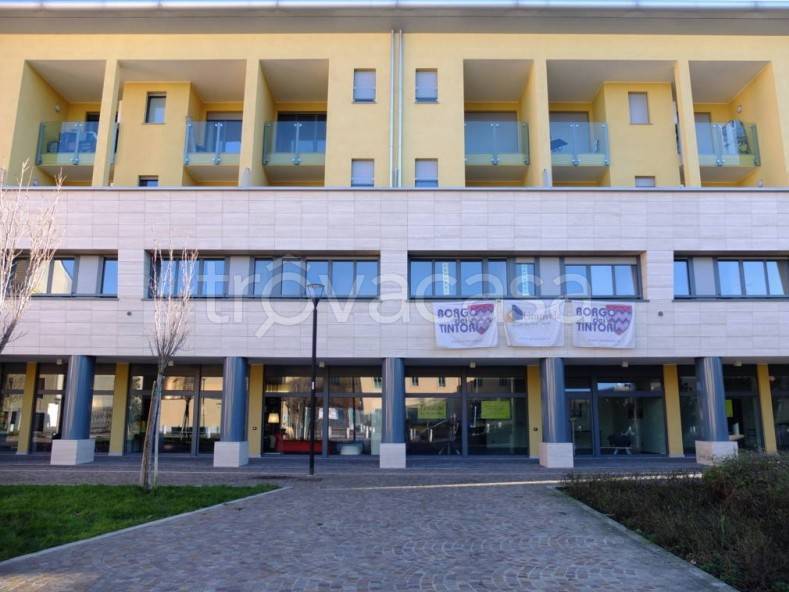 immagine annuncio 2 di 9