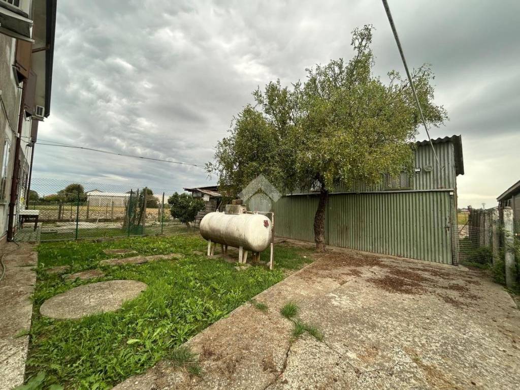 immagine annuncio 12 di 13