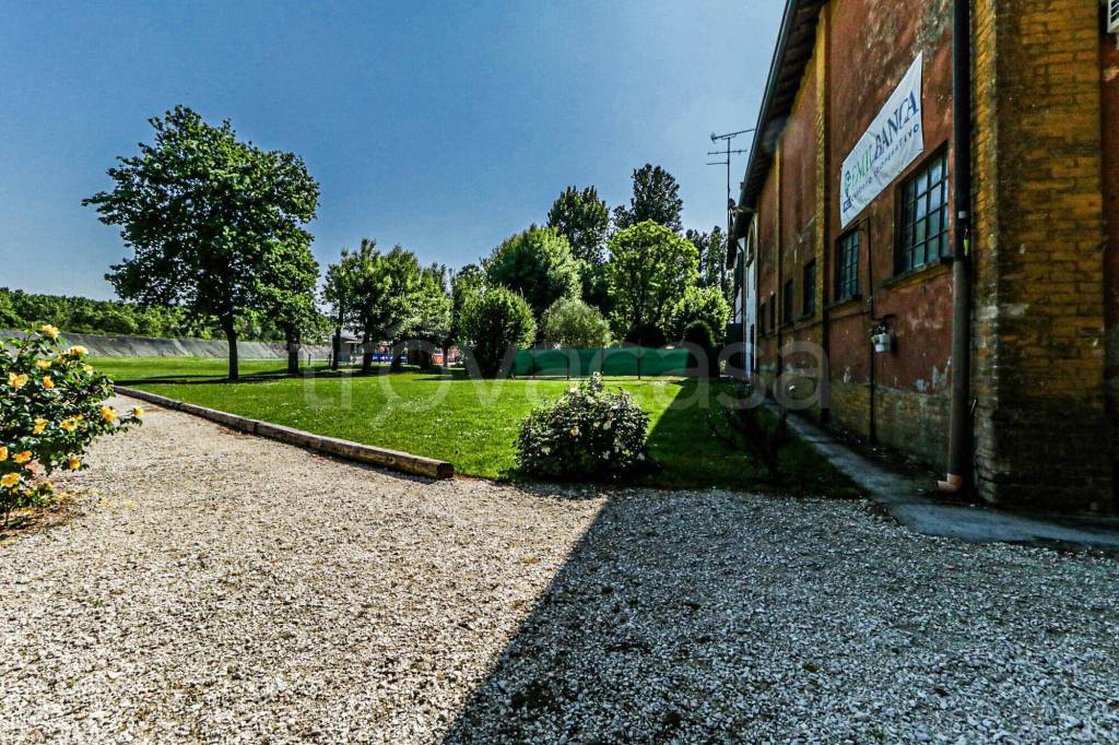 immagine annuncio 2 di 12