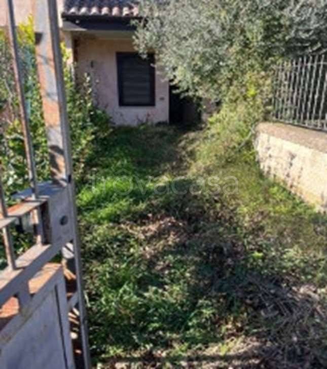 immagine annuncio 1 di 7