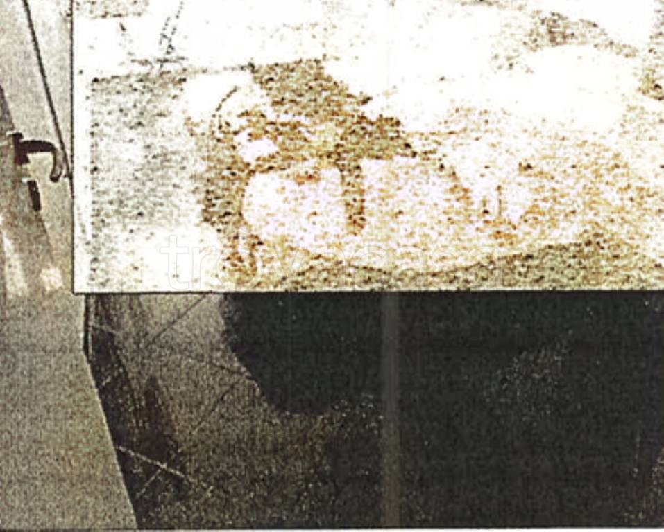 immagine annuncio 6 di 11