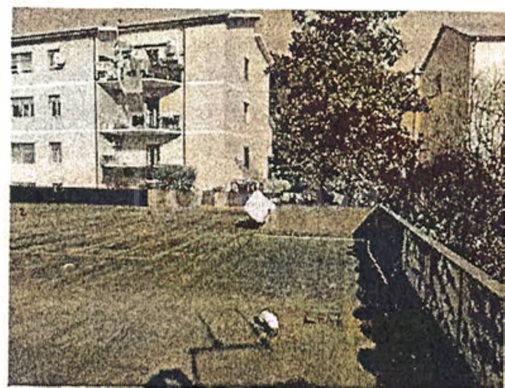 immagine annuncio 9 di 11