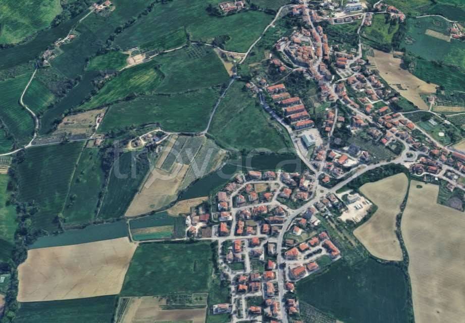 immagine annuncio 6 di 12