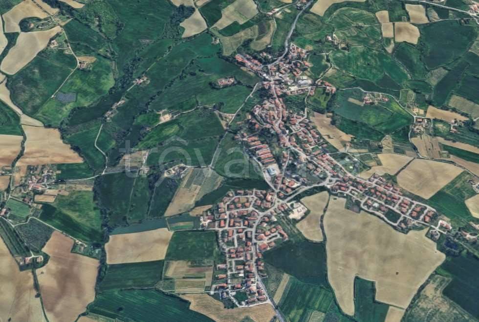 immagine annuncio 7 di 12