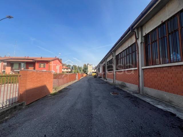 immagine annuncio 3 di 15