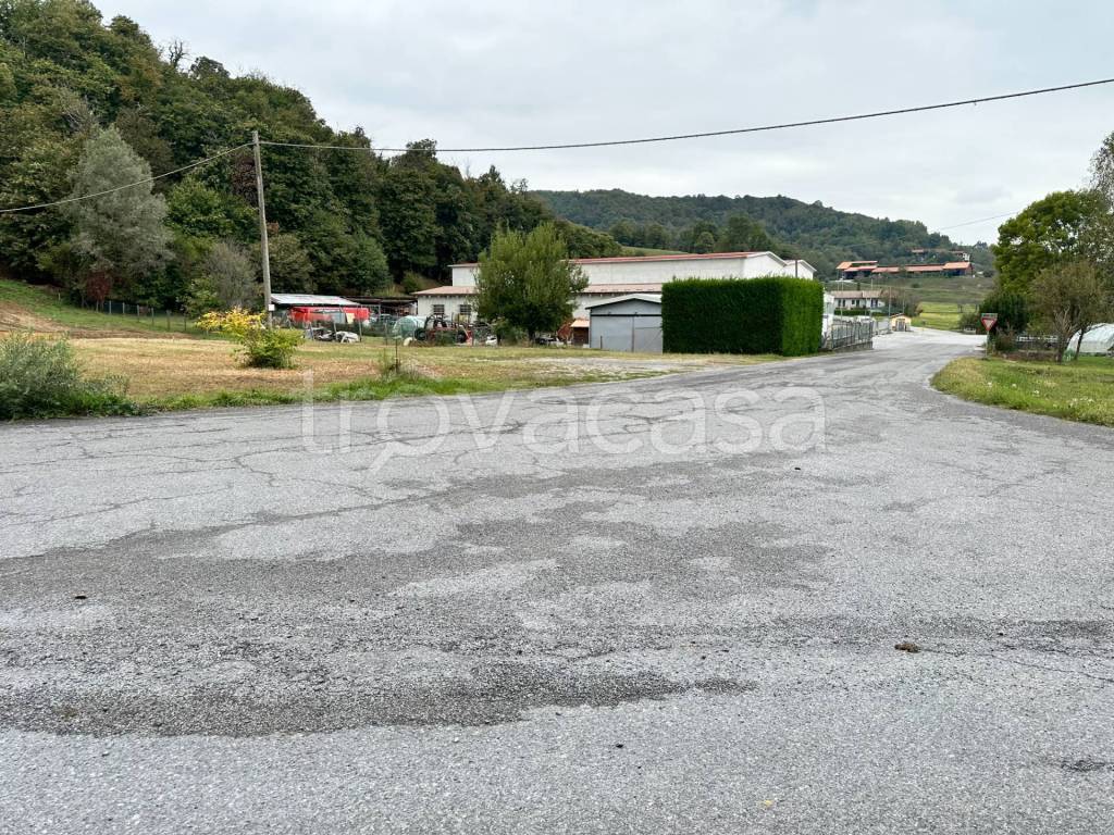 immagine annuncio 3 di 8