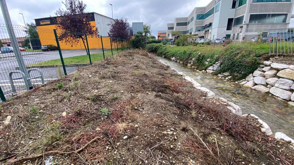 immagine annuncio 11 di 15