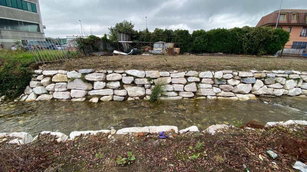 immagine annuncio 12 di 15