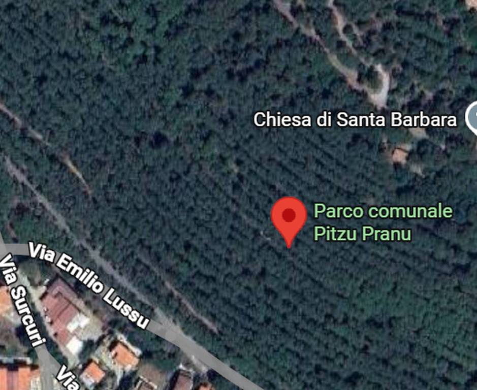 immagine annuncio 6 di 11