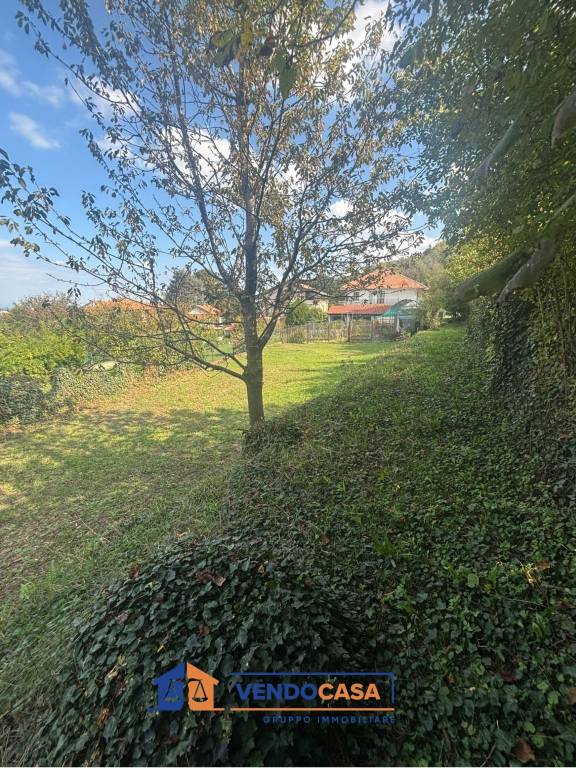 immagine annuncio 3 di 8