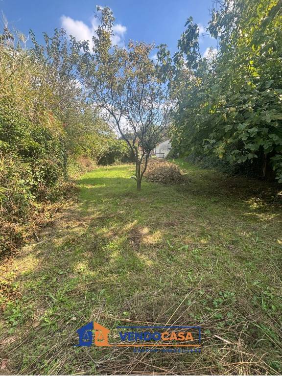 immagine annuncio 4 di 8