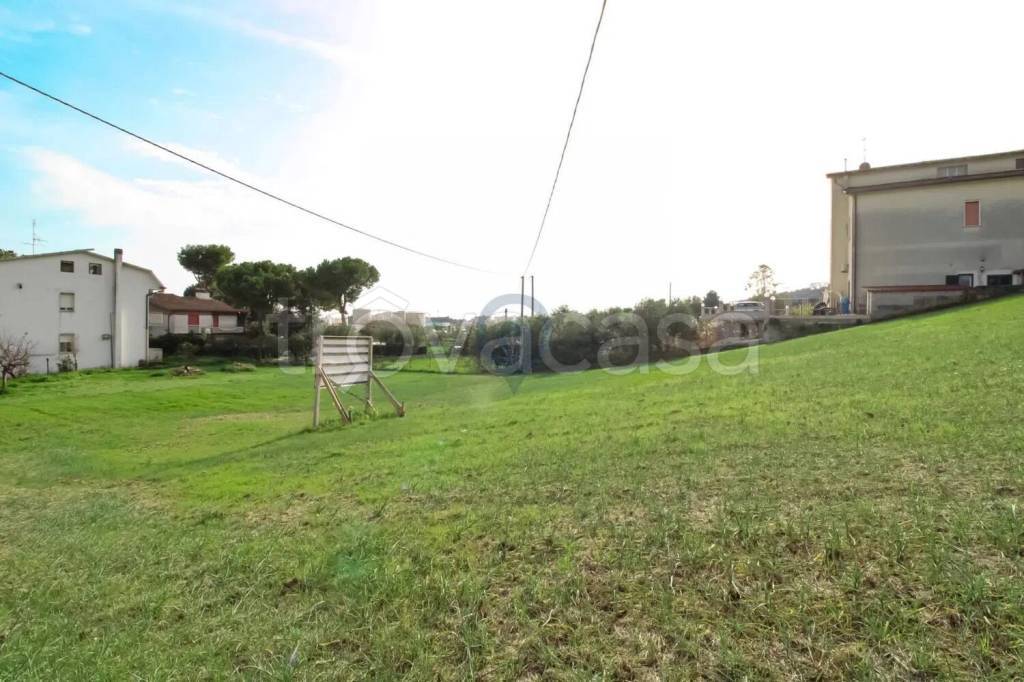 immagine annuncio 3 di 7
