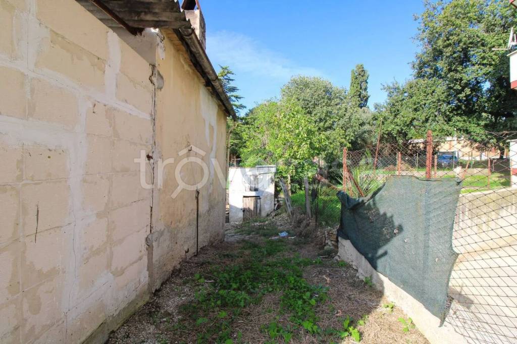 immagine annuncio 2 di 11