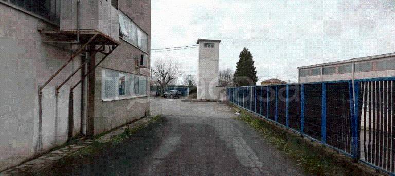 immagine annuncio 1 di 11