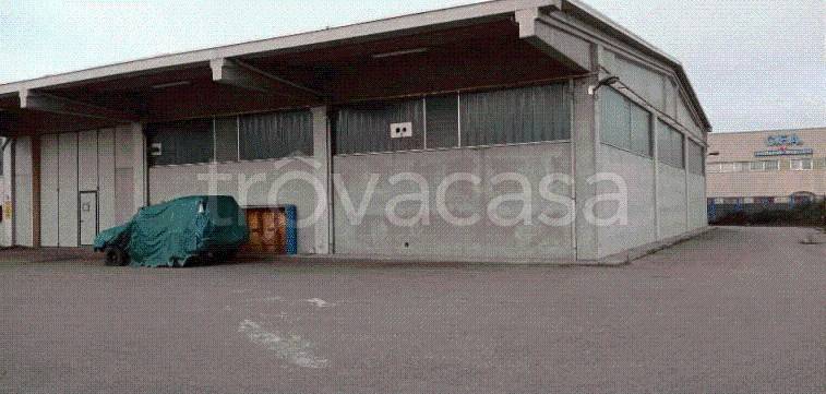 immagine annuncio 10 di 11