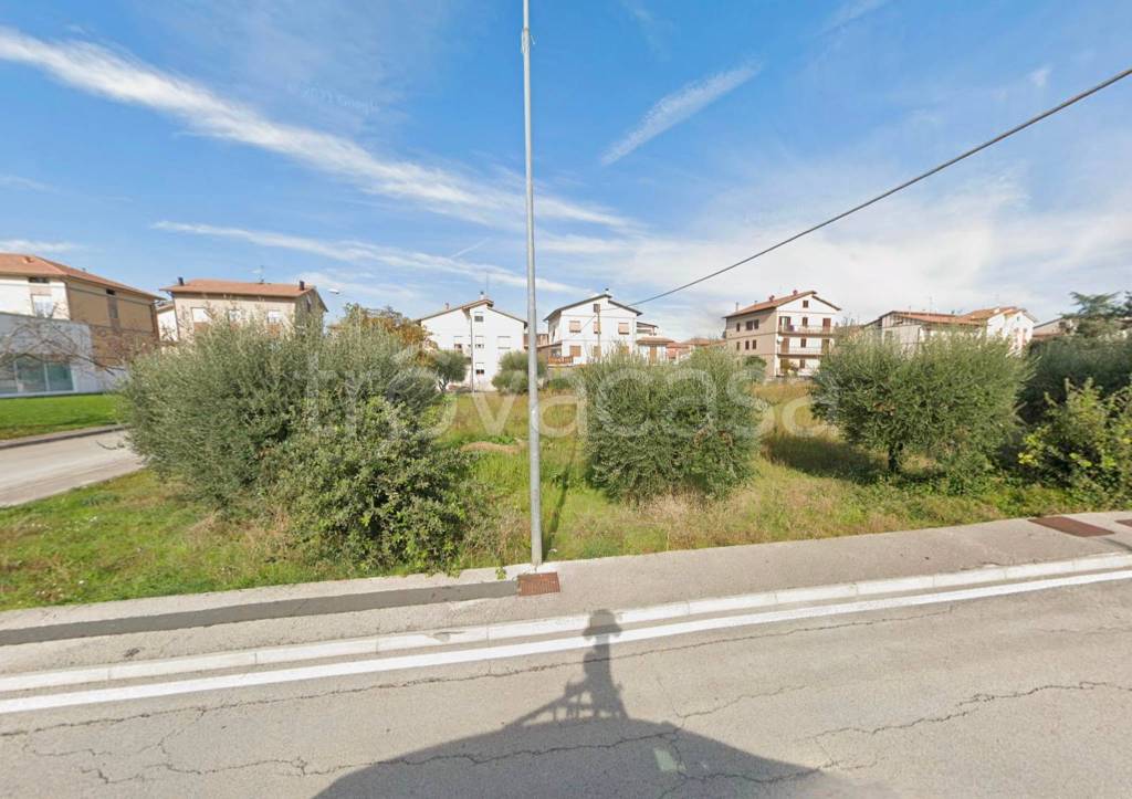 immagine annuncio 4 di 8