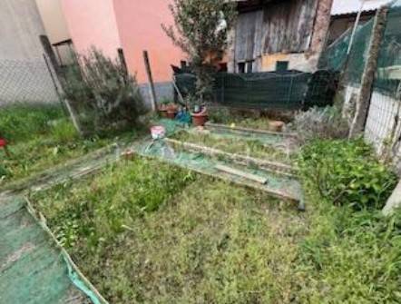 immagine annuncio 11 di 14