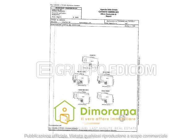 immagine annuncio 13 di 15