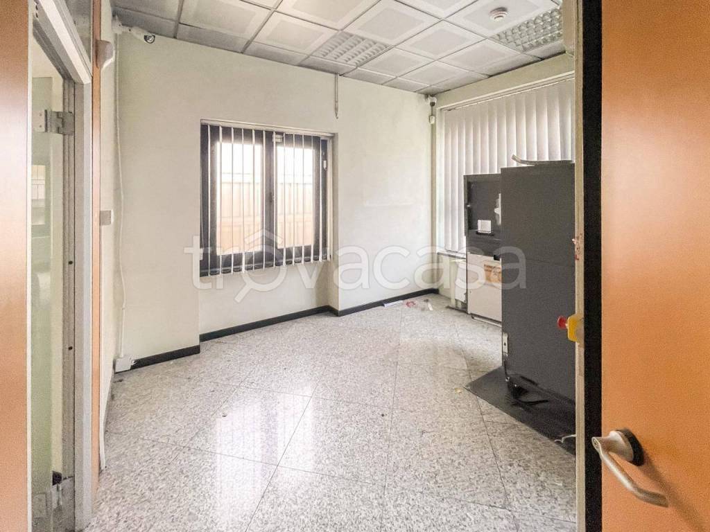 immagine annuncio 3 di 14