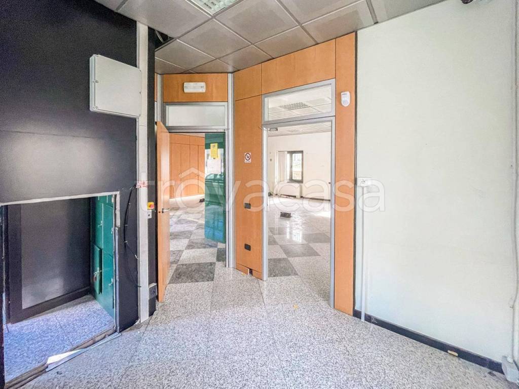 immagine annuncio 5 di 14