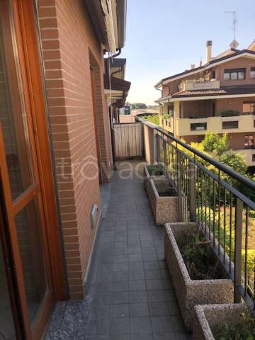 immagine annuncio 1 di 12