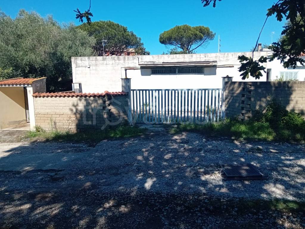 immagine annuncio 3 di 4