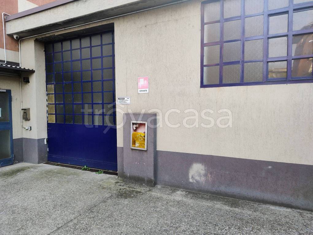 immagine annuncio 3 di 11