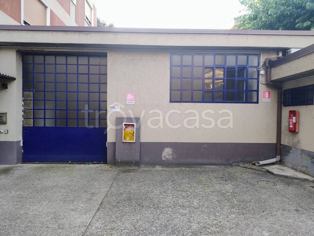 immagine annuncio 4 di 11