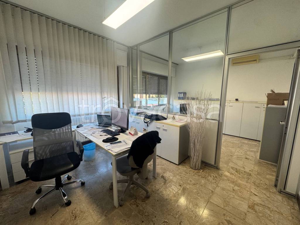 immagine annuncio 9 di 12