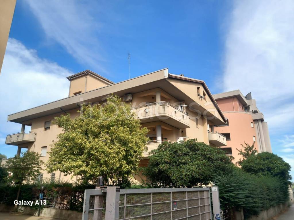 immagine annuncio 6 di 15