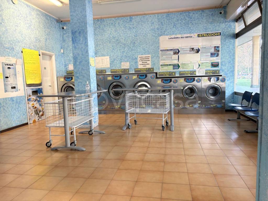 immagine annuncio 9 di 15