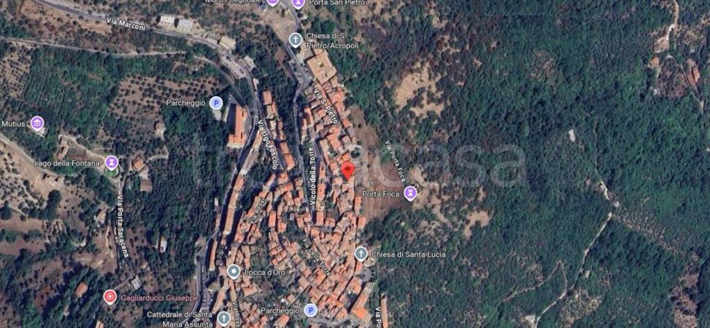 immagine annuncio 11 di 14