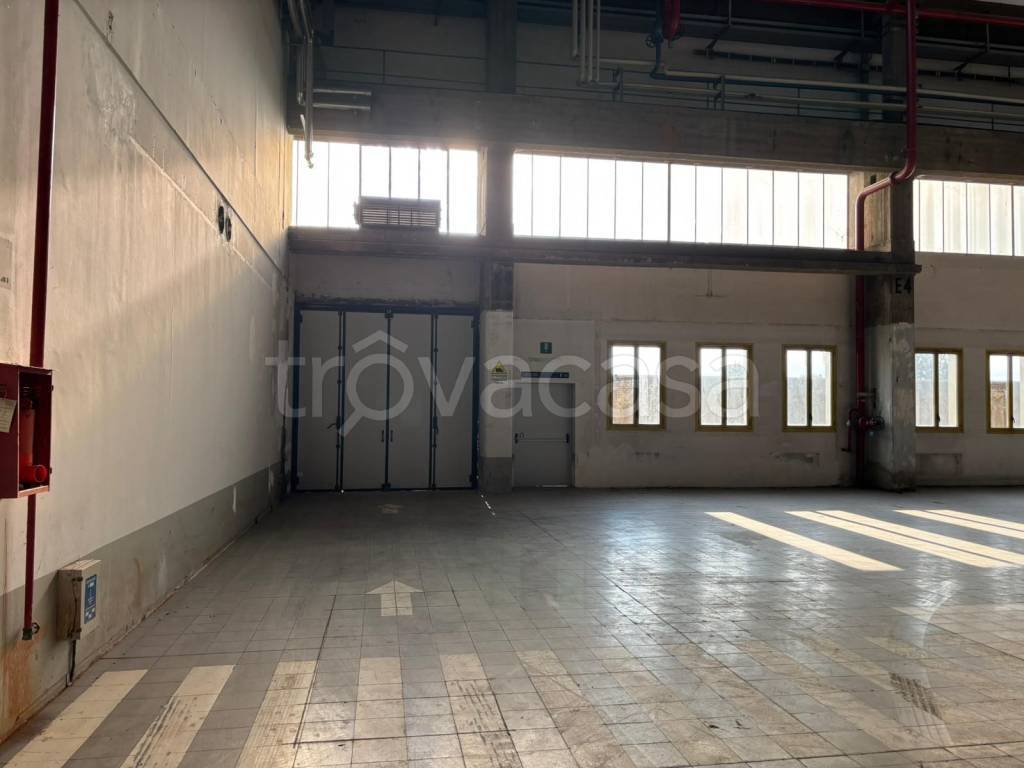 immagine annuncio 1 di 8