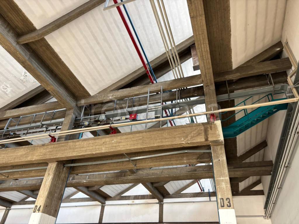 immagine annuncio 3 di 8