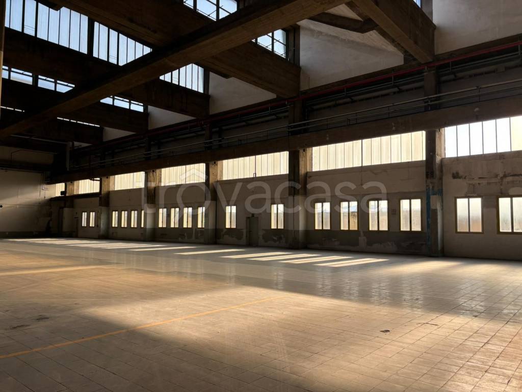 immagine annuncio 2 di 8